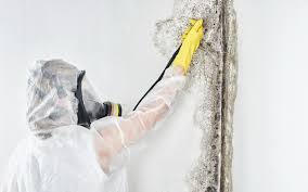 Best HVAC Mold Inspection and Cleaning in Montpelier, OH